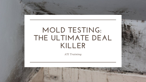 Mold Testing: The Ultimate Deal-Killer