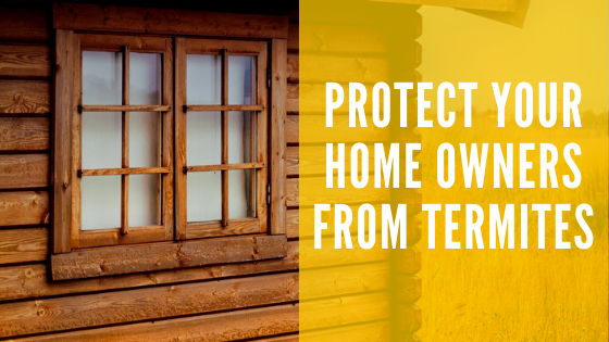 Protect your Homeowners from Termites